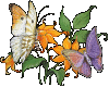 ANIMATED BUTTERFLIES