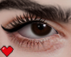 srn. Connor Eyes (L)