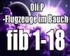 Oli.P-Flugzeuge in meine