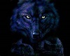wolf t