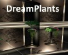 [BD]DreamPlants