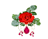 red rose with ruby jewel