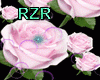Pink Roses Effect