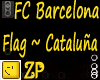 FC Barcelona flag 