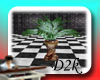 D2k-Big plant