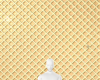 AS Waffle BackGround M/F