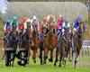 ~PS~Horse Races Bgs2