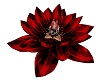 Lotus Flower - Pose