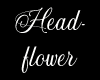 Headflower white