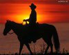 cowboy sunset