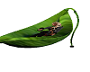 green leaf hammock