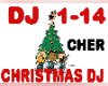 Cher Christmas DJ
