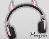 PJDevil Headphones4