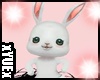 *Y* Cute Bunny