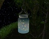 (X) Summer fireflies