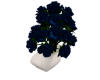 vase of rose