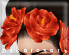 n| Frida Orange Roses
