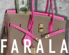 Birk Bag Dollar / Mix 3