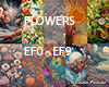 Flower Backgrounds