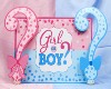 Gender Reveal Box : 2B