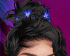 Black + Blue Flower