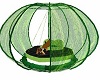 Green Swing Bed