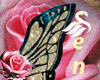 Butterfly (4)