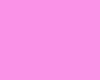 pink background 4