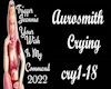 Aurosmith-Cry