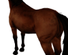 𝙀｡ Horse IV