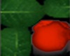 Red Rose Boutonniere