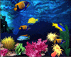 Aquarium blue fish