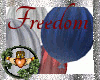 ~QI~ Freedom Balloons