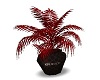  Plant red black