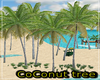 CoConut Tree--Beach