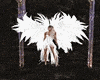 White Angel Wings anim