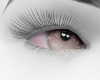 Angel Gray Eyes♛
