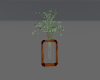 MCM | Table Plant