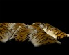 ~DL~ Pillow Tiger