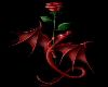 Red dragonrose