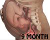 Ǝ/9 Month Fetus(Avatar)