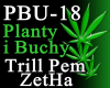 Planty i Buchy