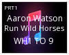 AARON WATSON WILD HORSES
