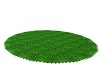 Grass Green Rug