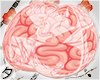 💕A Fujoshi's Brain