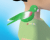 [Nal] Green Parakeet
