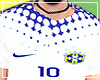 Brazilian Team 💙