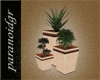 G-Ornamental Plant Set