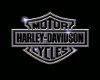 Harley Davidson Shortz