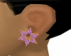 [KC]Gold/Pink Star Earri